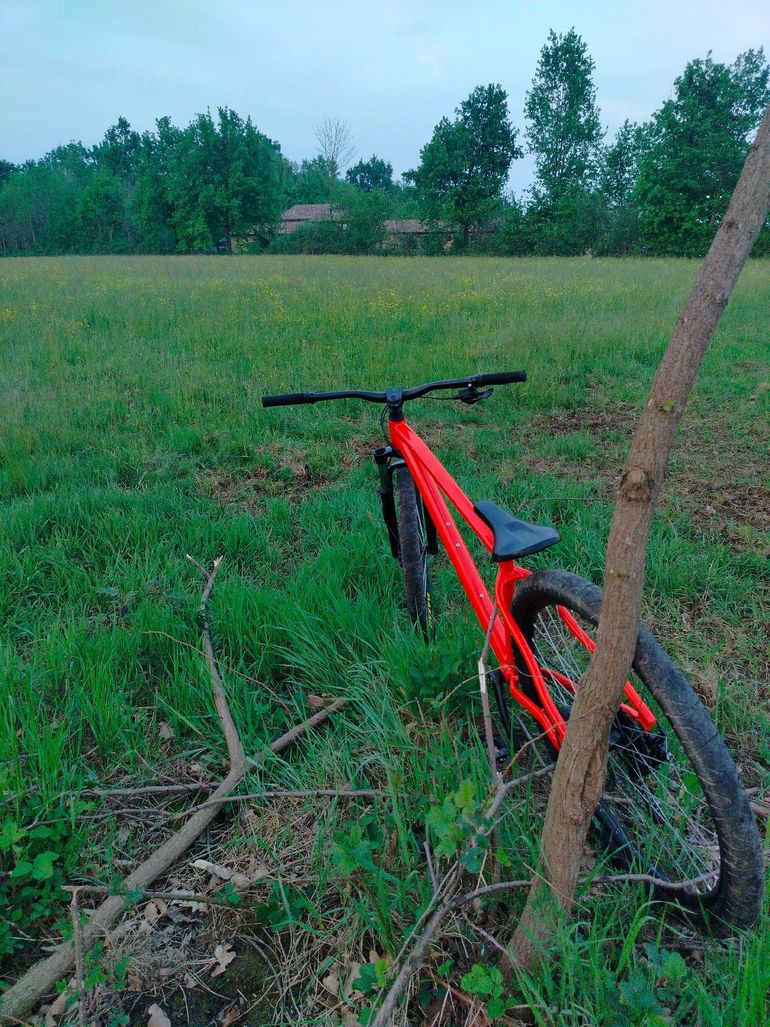 Used rocrider Rocrider Custom Shimano 105 2025 Mountainbike — image 2 of 11