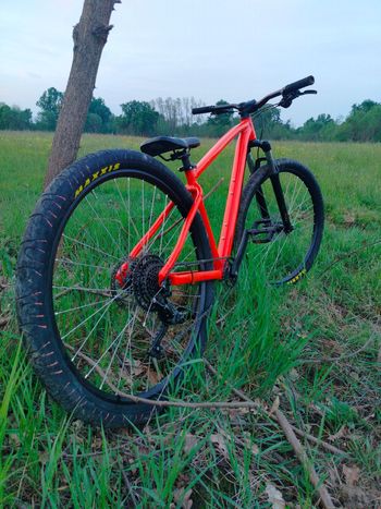 Used rocrider Rocrider Custom Shimano 105 2025 Mountainbike — image 7 of 11
