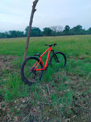 Used rocrider Rocrider Custom Shimano 105 2025 Mountainbike — image 8 of 11