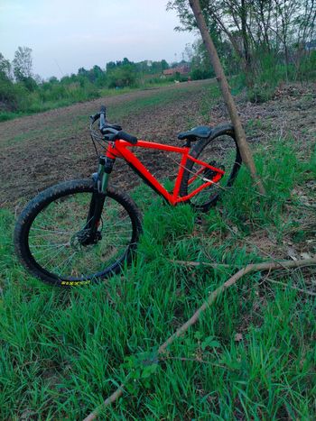 Used rocrider Rocrider Custom Shimano 105 2025 Mountainbike — image 6 of 11