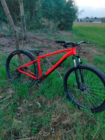 Used rocrider Rocrider Custom Shimano 105 2025 Mountainbike — image 4 of 11