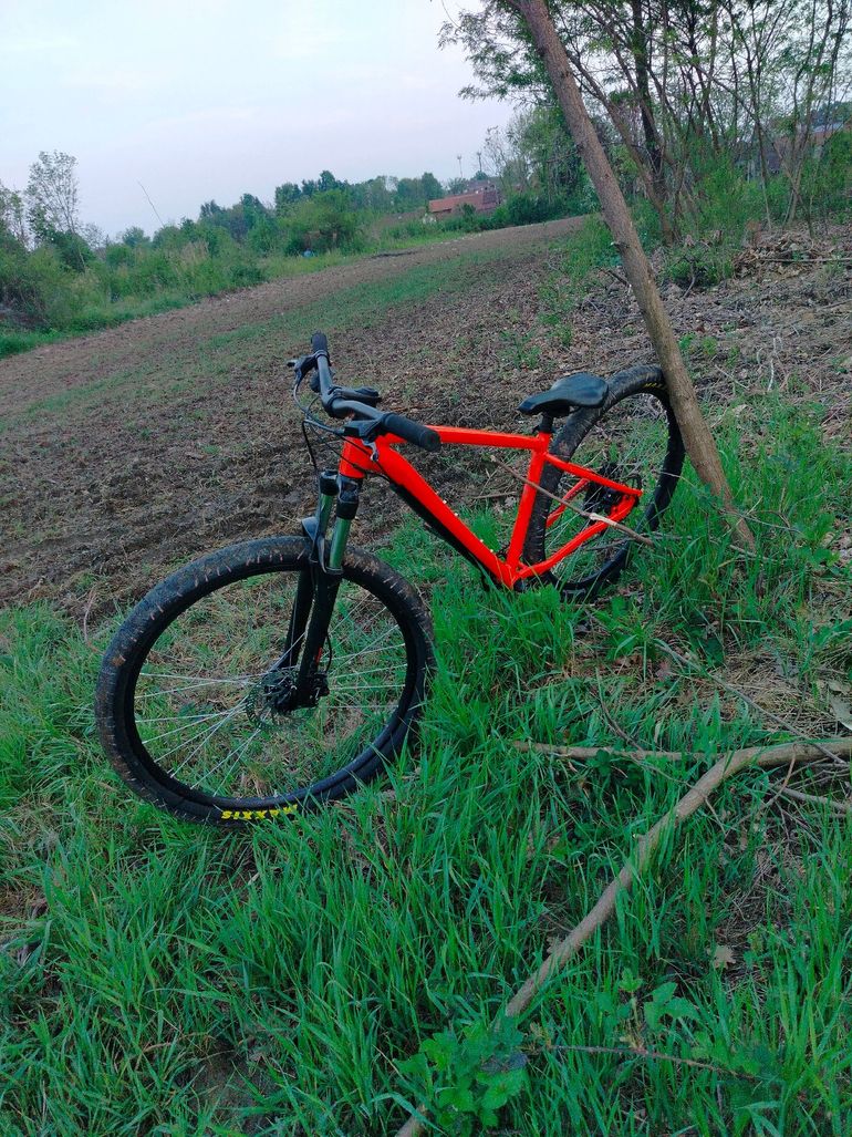 Used rocrider Rocrider Custom Shimano 105 2025 Mountainbike — image 11 of 11
