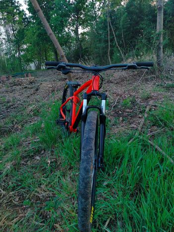 Used rocrider Rocrider Custom Shimano 105 2025 VTT