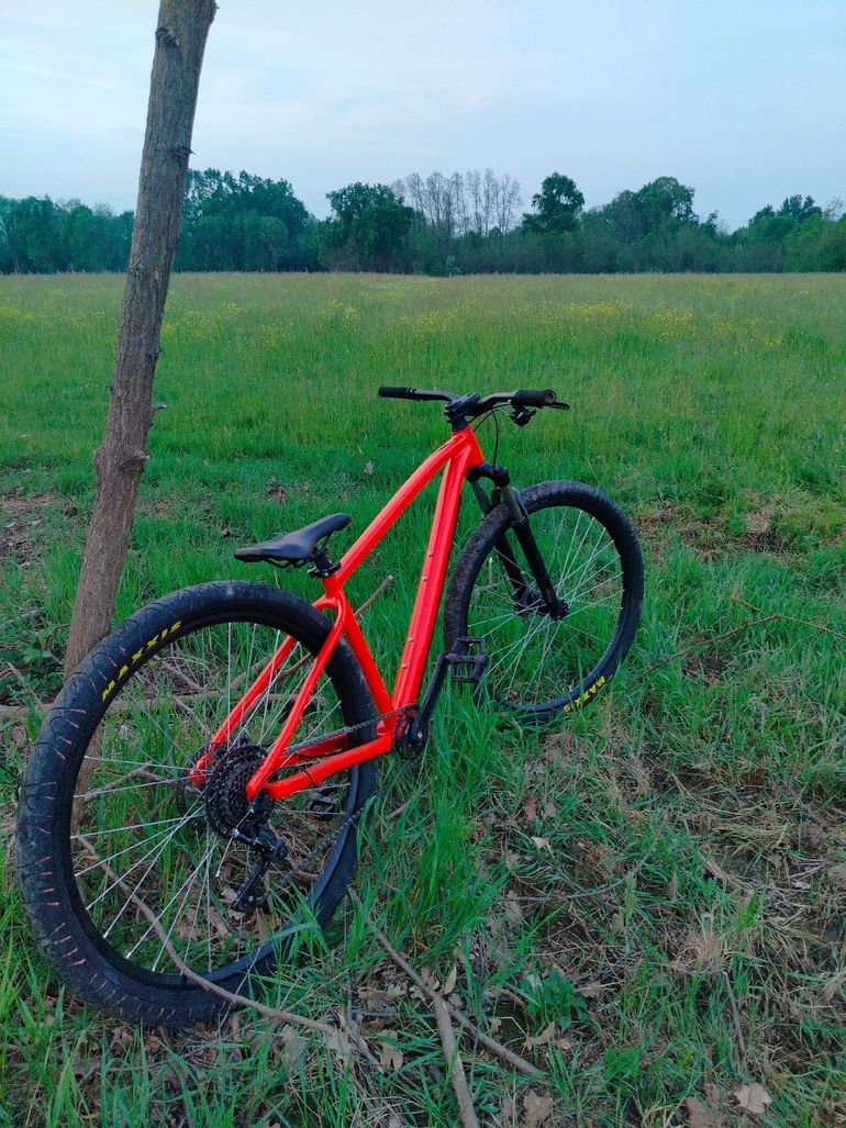 Used rocrider Rocrider Custom Shimano 105 2025 Mountainbike — image 3 of 11