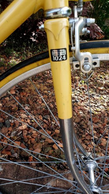 Used koga miyata gentsracer Koga miyata gentsracer Custom Shimano 600 1976 Road & Gravel, Orange — image 6 of 23