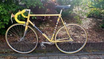 Used koga miyata gentsracer Koga miyata gentsracer Custom Shimano 600 1976 Road & Gravel, Orange — image 2 of 23