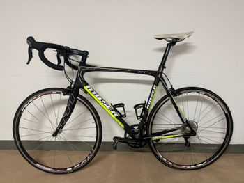 Moser, 111