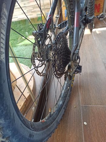 Used Trek Powerfly LT 9.7 2019 2019 Mountainbike — image 9 of 9