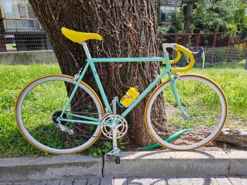 Bergamin, Bergamin Custom Other Campagnolo