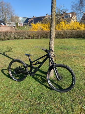 Canyon, Torque Mullet CF 7 2023