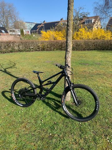 Used Canyon Torque Mullet CF 7 2023 2023 Mountainbike, Black, 29, 27.5 — image 1 of 5