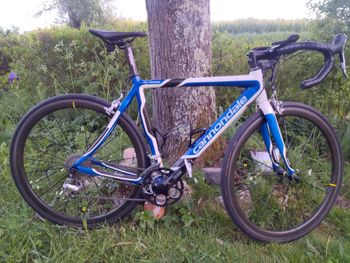 Cannondale, Cannondale Synapse
