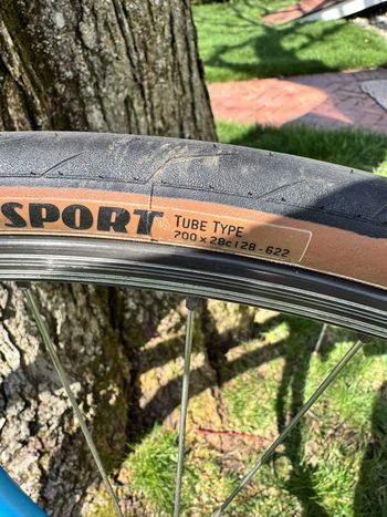 Used De Rosa SLX Professional, Set Up As Fixed-gear 1986 Road & Gravel, Blue — image 5 of 14