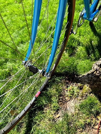 Used De Rosa SLX Professional, Set Up As Fixed-gear 1986 Road & Gravel, Blue — image 14 of 14
