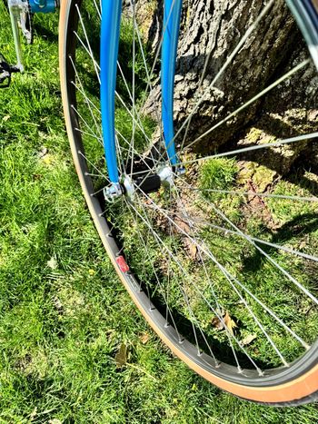 Used De Rosa SLX Professional, Set Up As Fixed-gear 1986 Road & Gravel, Blue — image 2 of 14