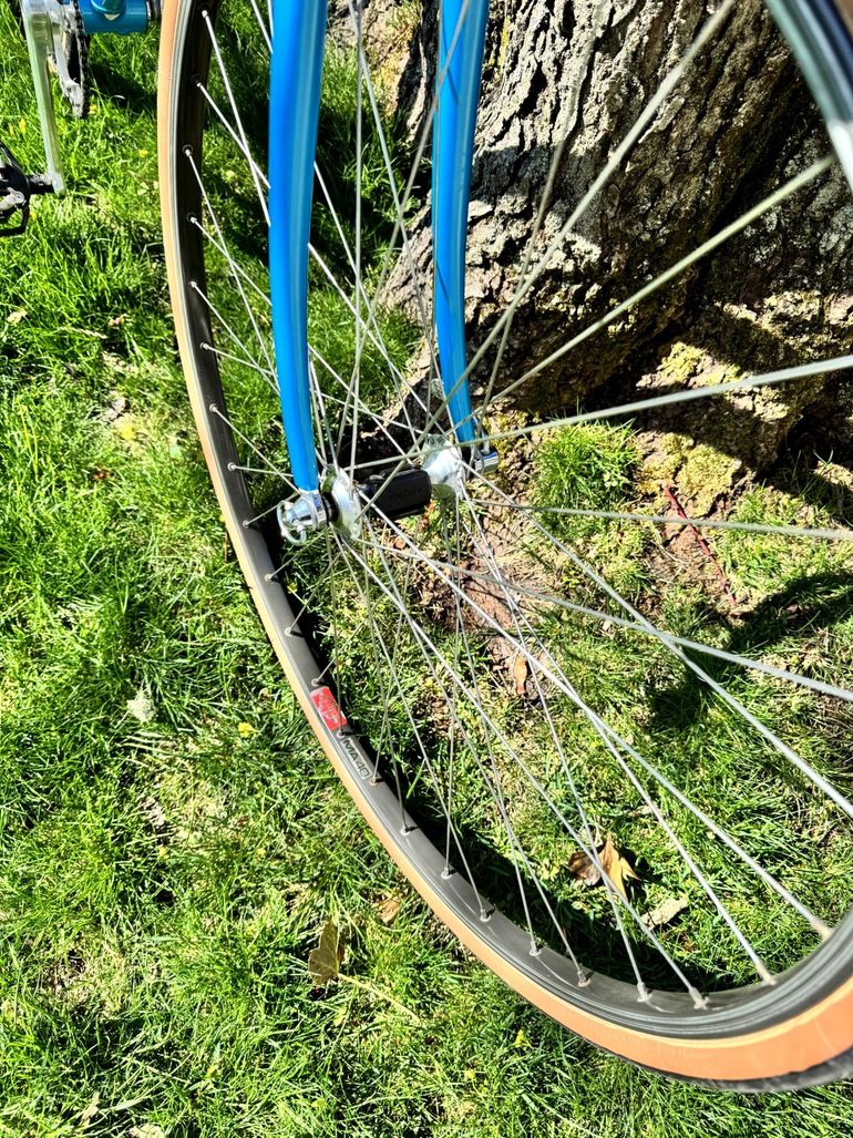 Used De Rosa SLX Professional, Set Up As Fixed-gear 1986 Road & Gravel, Blue — image 2 of 14