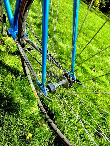Used De Rosa SLX Professional, Set Up As Fixed-gear 1986 Road & Gravel, Blue — image 13 of 14