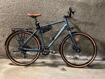 ELOPS, City Bike Long Distance 28 Zoll LD900 HF Herren dunkelgrün 2025