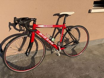Biess, Biess Custom Campagnolo Record