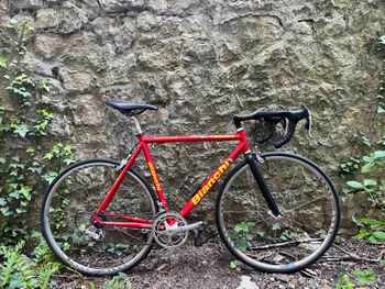 Bianchi, Racing Team