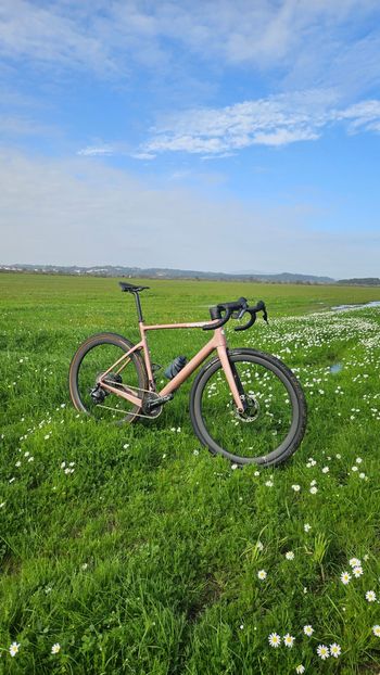 Cervélo, Aspero 5 SRAM Force AXS XPLR 1 Rose Champagne