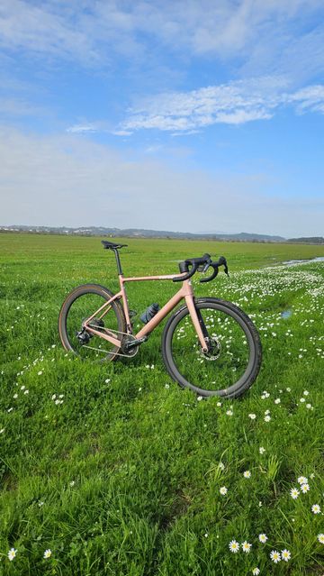 Brugt Cervélo Aspero 5 SRAM Force AXS XPLR 1 Rose Champagne 2025 Road & Gravel