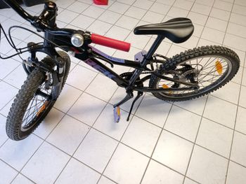 Trek, Precaliber 20 7-speed 2022