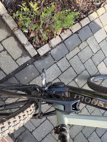Used Moustache Samedi 29 Game 9 2023 2023 Mountainbike, Grün, 29 — image 8 of 10