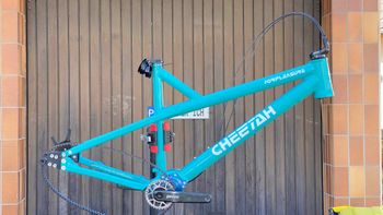 Cheetah, FORPLEASURE 2022 Frameset Inkl. Pinion P1.18 Frameset
