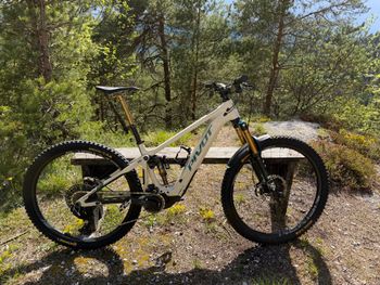 Pivot, SHUTTLE AM Pro X0 Eagle Transmission 2024