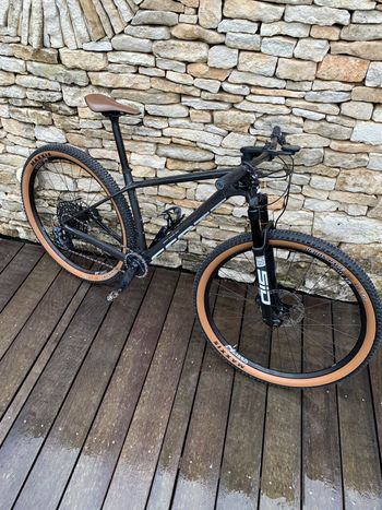 Scott, Scale RC Team Issue AXS 2022