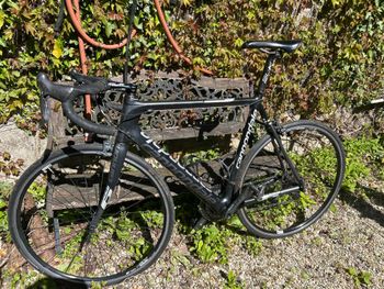 Used connondale Connondale Custom Shimano Dura Ace 2012 Road & Gravel — image 2 of 3