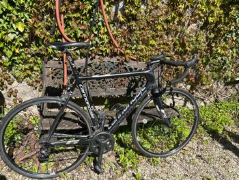 Used connondale Connondale Custom Shimano Dura Ace 2012 Route & Gravel