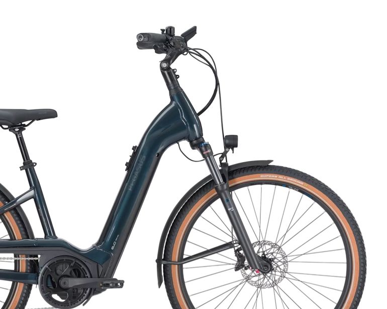 Used Pegasus Savino Evo 12 Lite, 750 Wh 2025 Urban, Grün — image 3 of 3