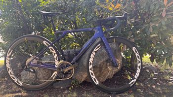 Lapierre, Xelius Shimano 105 Di2