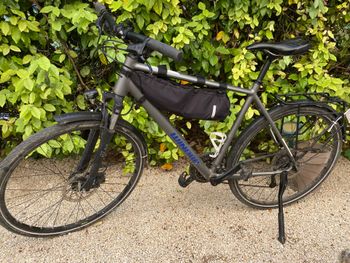 Used WINORA Bike WINORA Bike Custom Shimano Alivio 2025 Road & Gravel — image 2 of 4