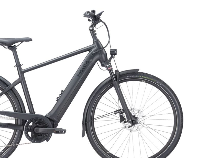 Used Pegasus Premio Evo 10 Lite, 750 Wh 2025 Urban — image 6 of 6