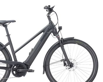 Used Pegasus Premio Evo 10 Lite, 750 Wh 2025 Urban — image 3 of 6