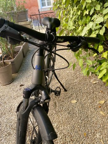 Used WINORA Bike WINORA Bike Custom Shimano Alivio 2025 Road & Gravel — image 4 of 4
