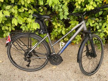 Used WINORA Bike WINORA Bike Custom Shimano Alivio 2025 Road & Gravel — image 2 of 4