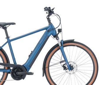 Gebrauchtes Pegasus Premio Evo 9, 750 Wh 2025 Urban, Blau — Bild 3 von 3