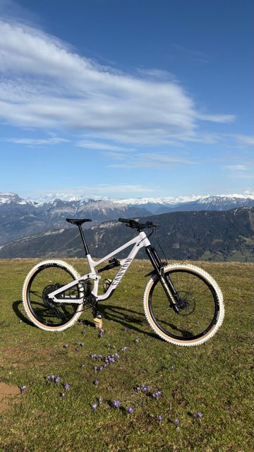 Brugt Canyon Torque Park AL 6 2024 2024 Mountainbike — billede 2 af 6