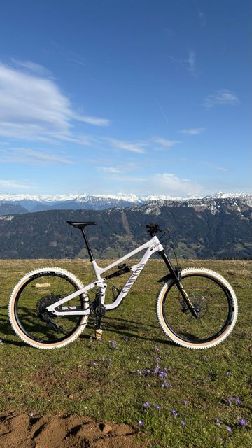 Gebrauchtes Canyon Torque Park AL 6 2024 2024 MTB