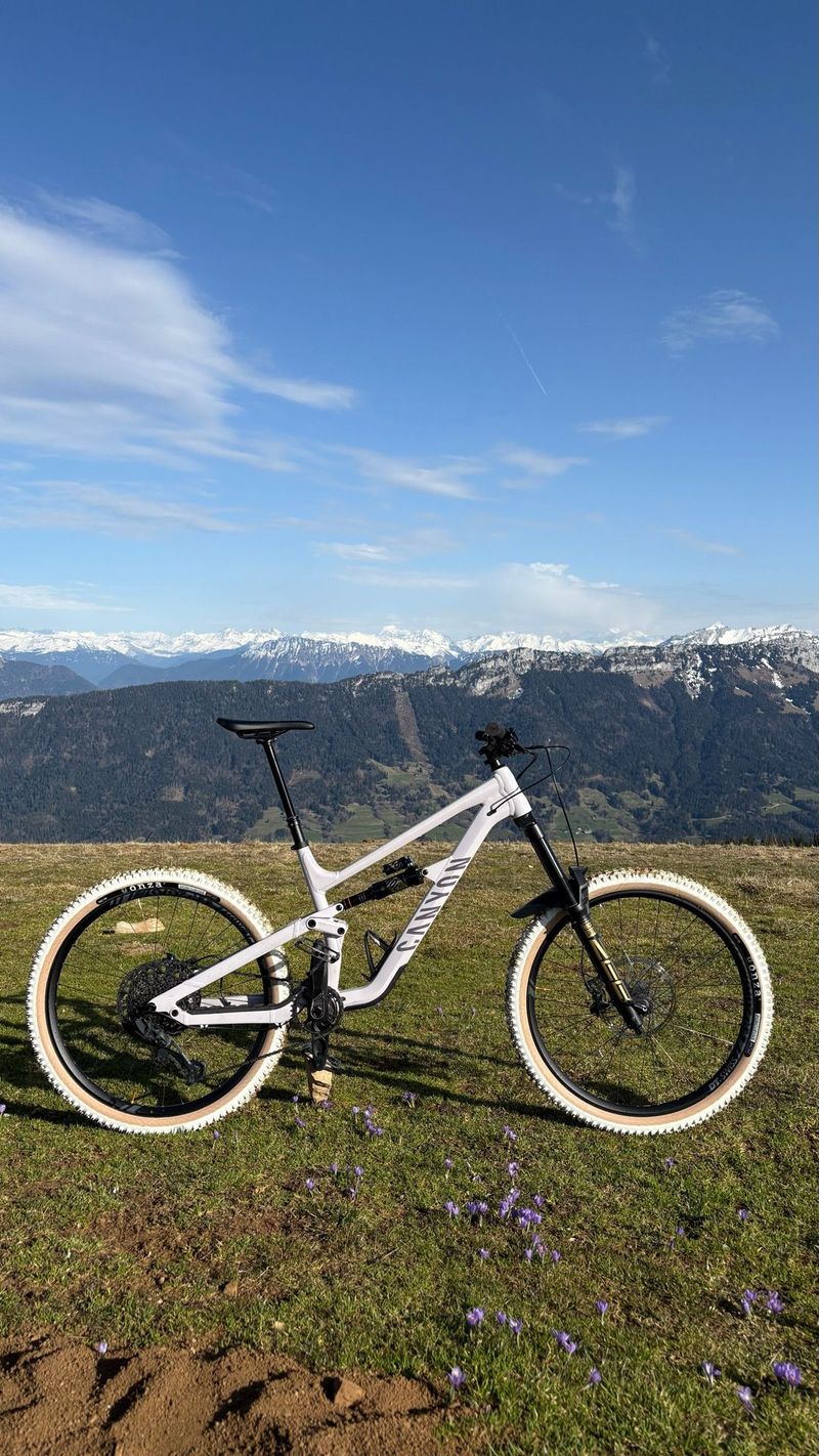 Used Canyon Torque Park AL 6 2024 2024 MTB