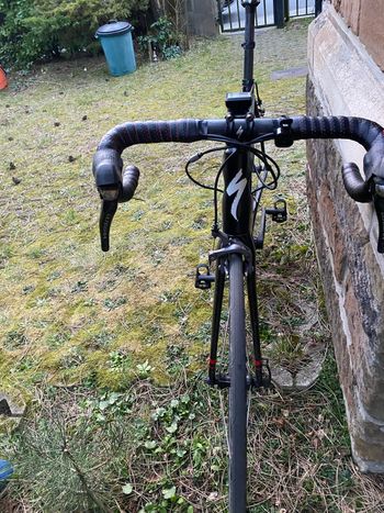 Used Specialized Tarmac SL4 Comp Ultegra 2014 2014 Road & Gravel, Black — image 3 of 6