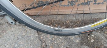 Used C4 C4 Custom Shimano 105 1987 Road & Gravel — image 9 of 14