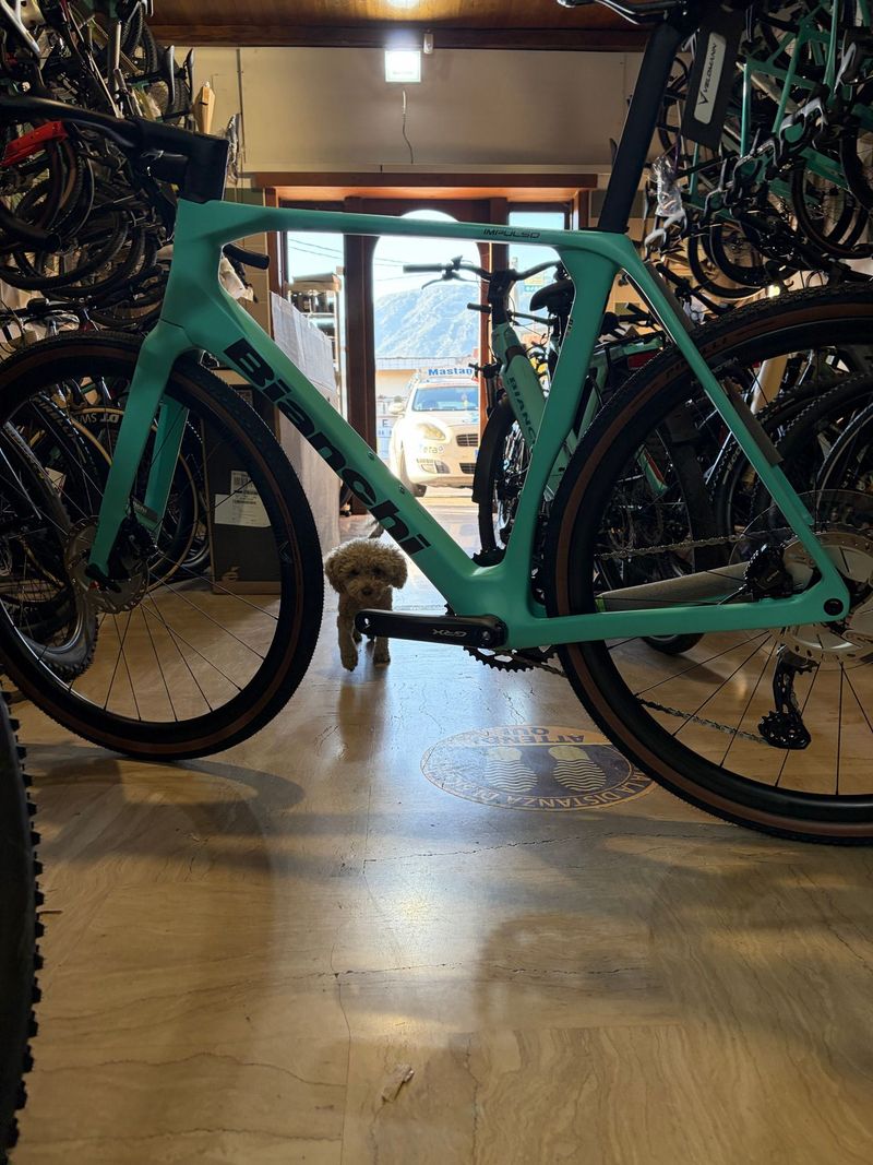 Bianchi Impulso PRO GRX 820 disc 2026 2026 Road & Gravel usato, Verde — immagine 4 di 7