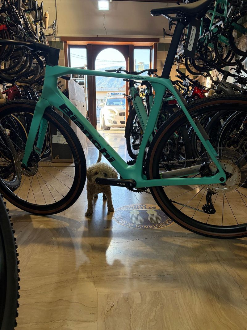 Bianchi Impulso PRO GRX 820 disc 2026 2026 Road & Gravel usato, Verde — immagine 3 di 7