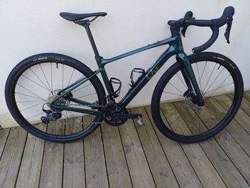 Liv, Devote Advanced 2 2025
