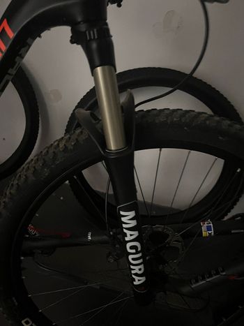 Used RACE MOUNTAIN RACE MOUNTAIN R29 2020 Mountainbike — image 10 of 10